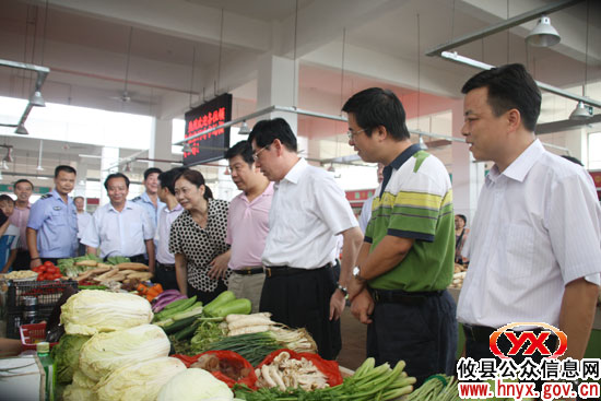副省长韩永文一行来攸县视察工作