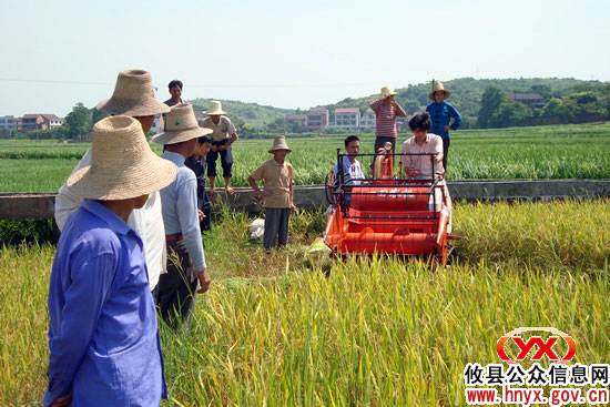 攸县水稻种植合作社今年早稻生产形势喜忧参半