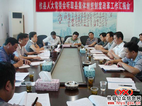 攸县人大常委会专题听取林改工作汇报