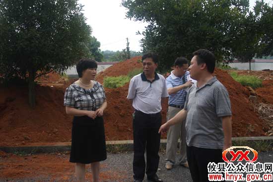 谈湘旭到皇图岭镇督查调研学校建设工作