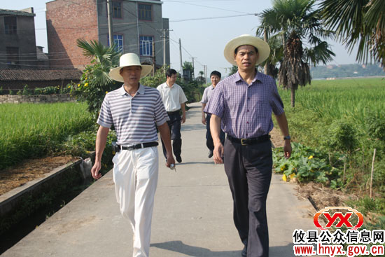 省农业厅巡视员青先国一行来攸县检查粮食生产工作
