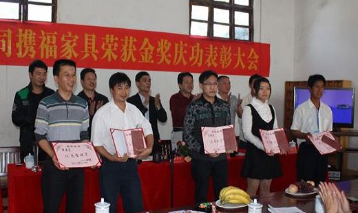 攸县湘龙公司在湖南首届家具博览会荣获金奖