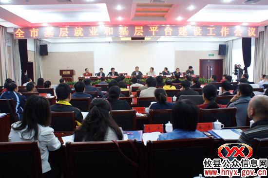 全市基层就业和基层平台建设交流会议在攸县召开