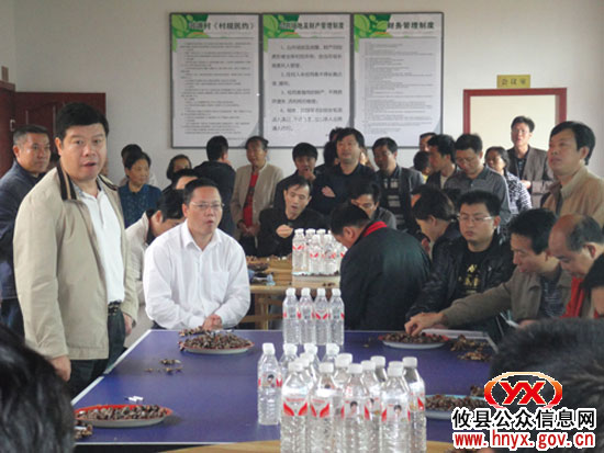 县、乡（镇）和局（办）领导参观丫江桥镇河源村虎形坡组