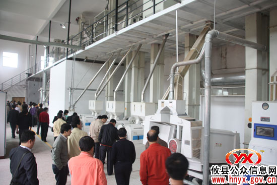 株洲市湘泰粮油有限公司正式投产运营