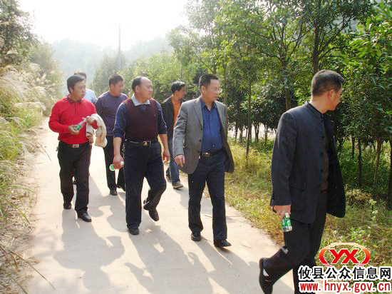 省绿委办副主任蒋红星一行到攸县考察绿化工作