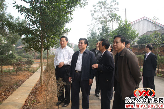 省委农村工作部王桂云来攸县调研农业现代化建设工作