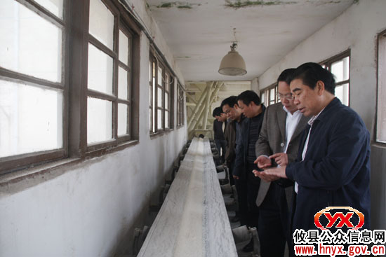 省委农村工作部王桂云来攸县调研农业现代化建设工作