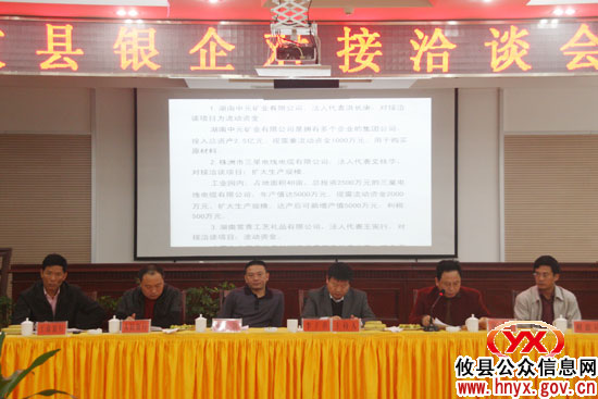 攸县银信部门和企业负责人面对面开展融资洽谈