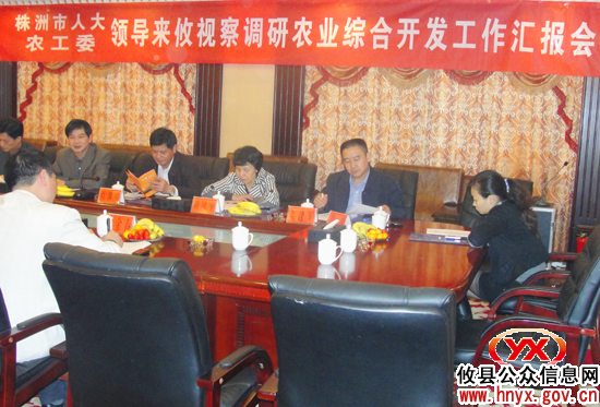 市人大常委会肖渊泉一行来攸县调研农开工作
