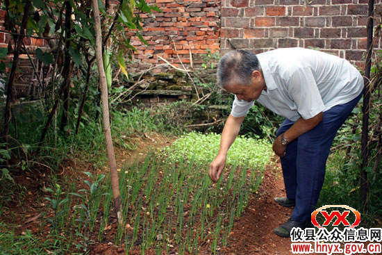 【党员风采】老骥有壮心 暮年有余温——记离休干部易炳祚同志