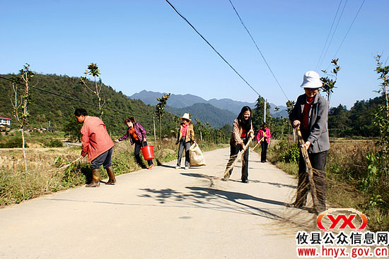 洁净行动：攸县鸾山镇进行专项工作调度