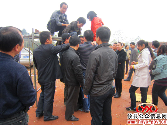 2010年攸县中青年干部培训班开展野外拓展训练活动