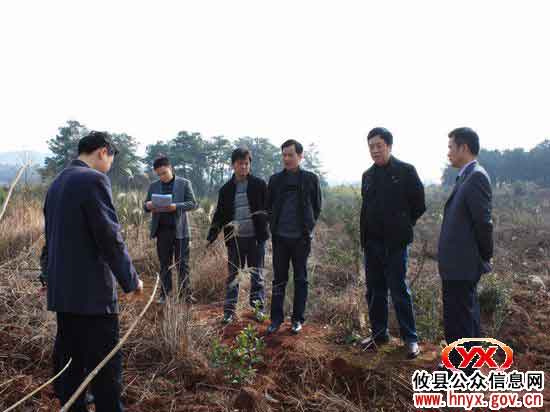 攸县林业局组织专门班子督查林业冬季生产