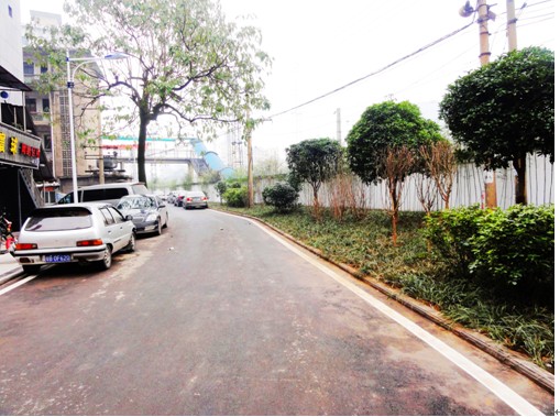 芦淞区二期道路提质改造工程全面完工