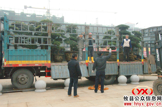 【喜迎2011】攸县城区开始张灯结彩庆佳节