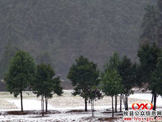 今冬，攸县迎来第一场雪