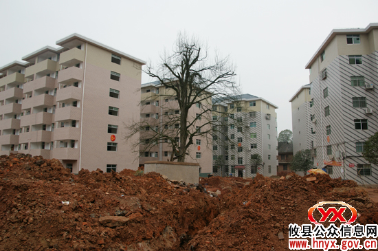 【三个“十大”巡礼】攸县今年已完成建设廉租房992套