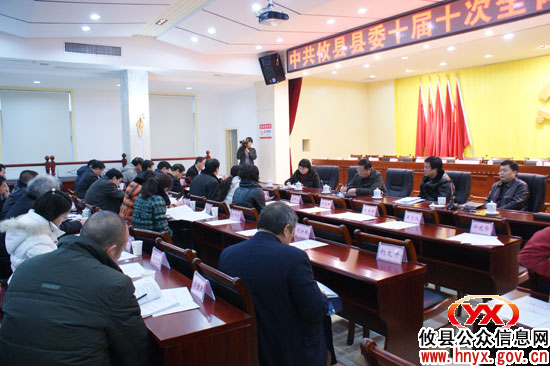 攸县县委十届十次全体（扩大）会议展开分组讨论