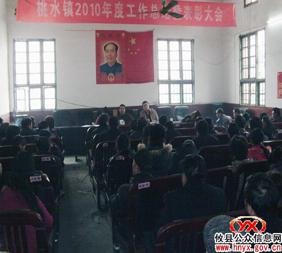 攸县桃水镇进行2010年度工作总结