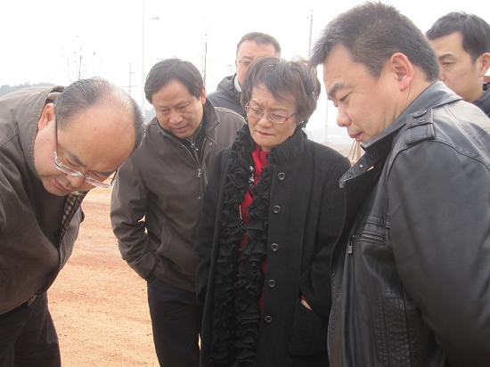 上海徐汇软件杨秋萍一行来株考察职教园软件园区项目