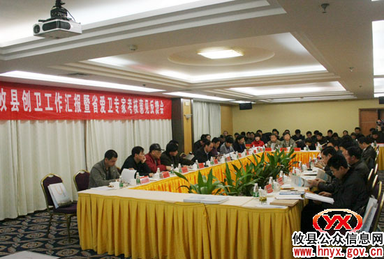 攸县创建“省级卫生县城”顺利通过专家组考核验收