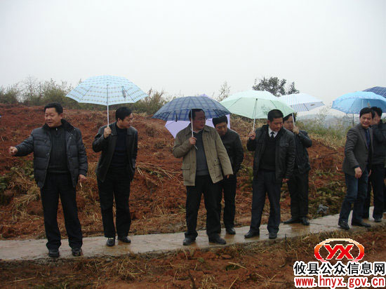 省林业厅副厅长唐苗生一行来攸县督查春季造林工作