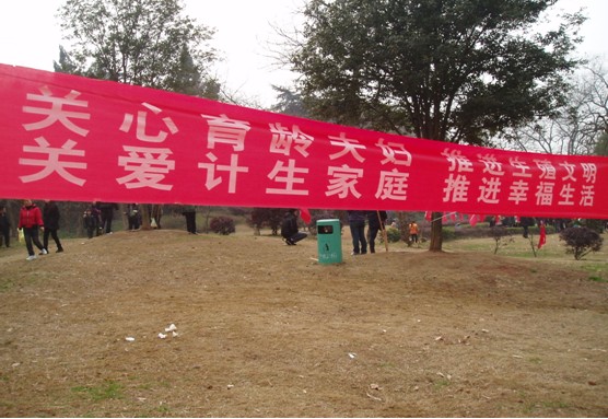 芦淞区人口计生局、计生协会将计生宣传融入元宵游园活动
