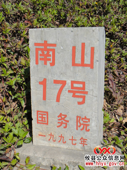 八面来风：深圳深南大道掠影（之春天的故事）