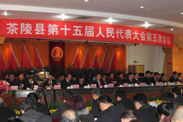 茶陵县第十五届人民代表大会第五次会议胜利召开