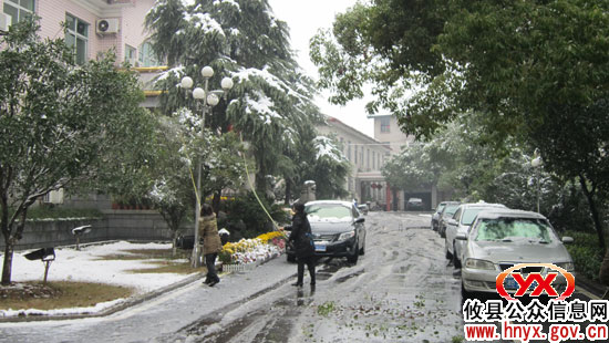 攸县市政园林处紧急行动全力抗雪