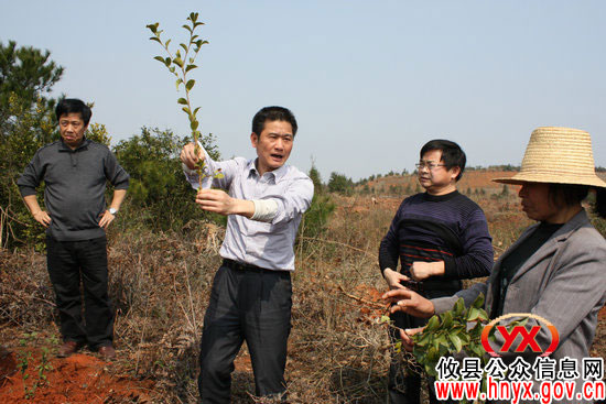 春早人勤：攸县林业局组织技术人员分片下乡指导造林