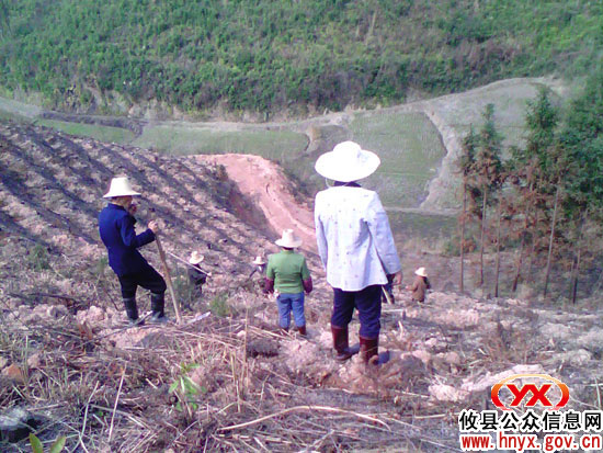 春早人勤：攸县槚山乡积极组织群众绿化造林
