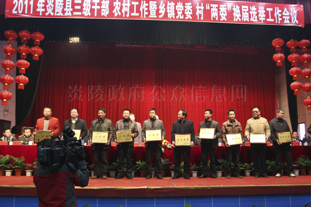 炎陵县召开三级干部农村工作暨乡镇党委村“两委”换届选举工作会议