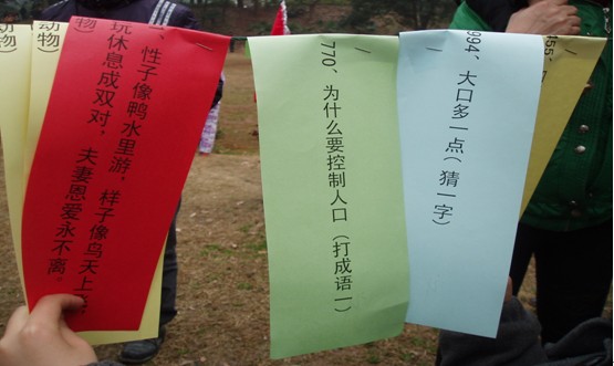 芦淞区人口计生局、计生协会将计生宣传融入元宵游园活动