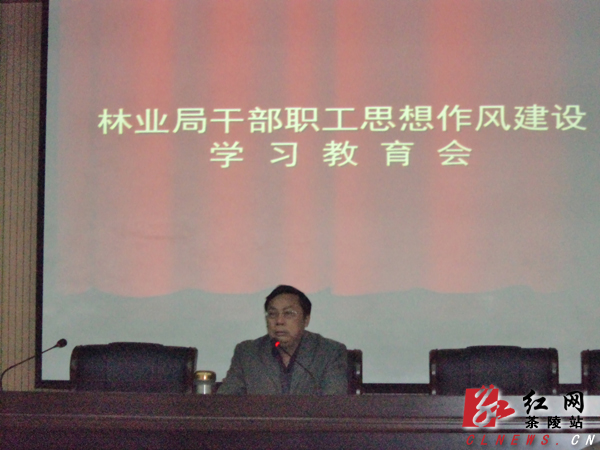 茶陵县林业局深入推进思想作风建设