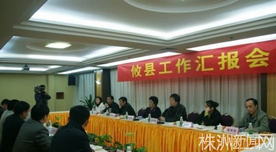 【外埠媒体话攸州】市人大常委会副主任王丽沙攸县调研