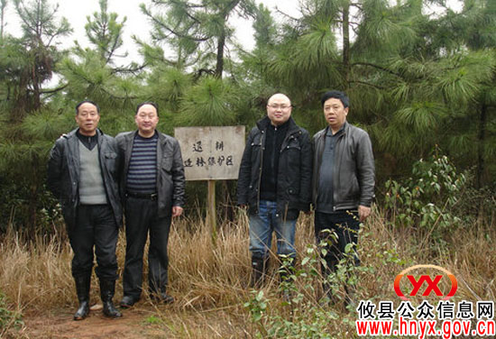 省林业厅专家对攸县退耕还林工程进行复查