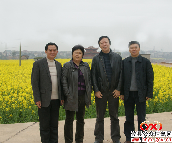 市人大常委会副主任王丽沙一行来攸县调研