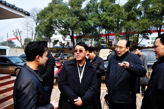 中央/省委组织部领导来我区调研乡镇党委换届工作
