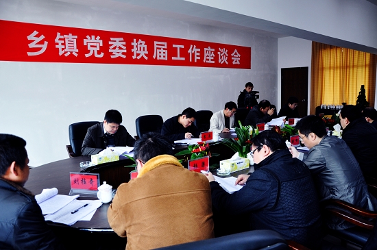 中央/省委组织部领导来我区调研乡镇党委换届工作