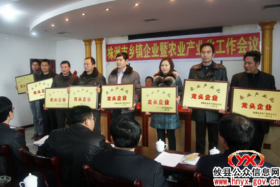 全市乡镇企业暨农业产业化工作会在攸县召开