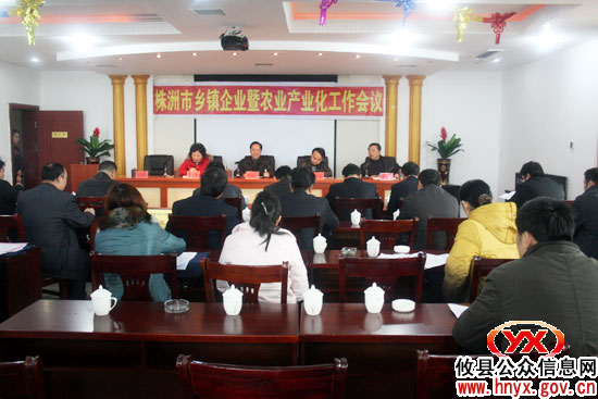 全市乡镇企业暨农业产业化工作会在攸县召开