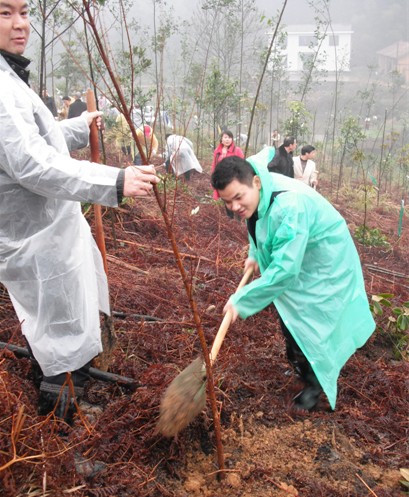 弘扬生态文明 建设生态芦淞