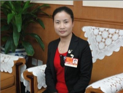 人大代表建言：在炎帝陵区要规划建设神农中草药产业园