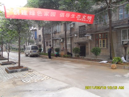 抢抓有利时节 掀起绿化建设新高潮