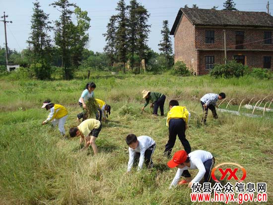 城关镇东北街小学组织学生到罗家坪村参加社会实践活动