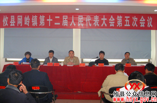 攸县网岭镇召开十二届人大五次会议 补选李振东为镇人大主席