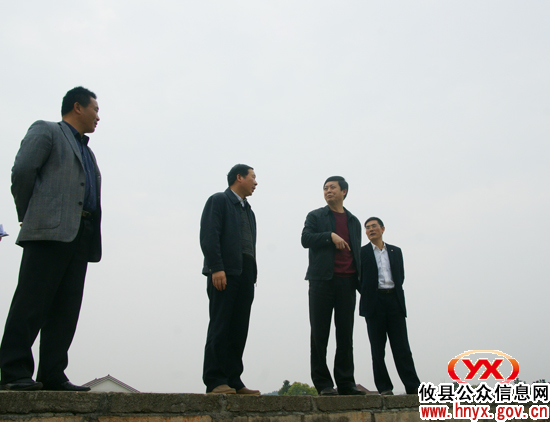 陈可勇一行到部分乡镇督查防汛和农田水利建设