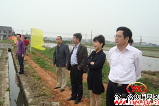 攸县农机局举办水稻机插秧现场演示会